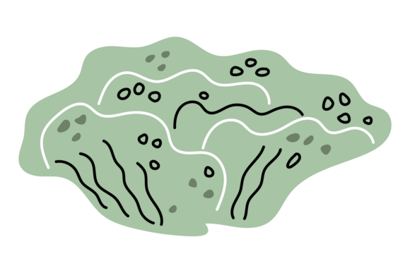 Abstract Seaweed Illustration. Minimal G: A Guide to Organic Underwater Design