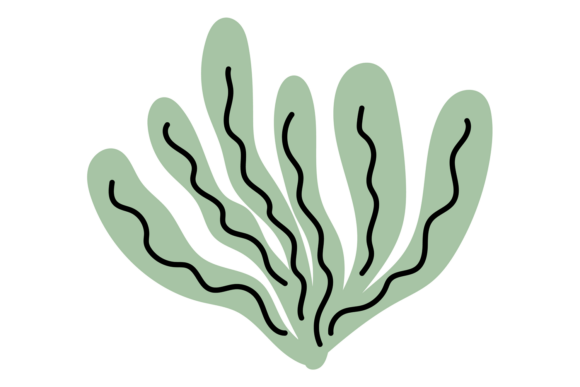 Abstract Seaweed. Minimal Green Algae, O: A Guide to Modern Aquatic Design