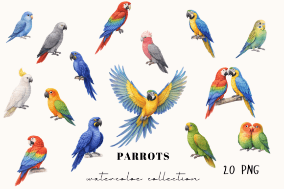 Bring Tropical Energy to Your Designs with the Colorful Parrots Clipart Bundle – 20