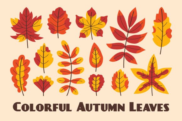 Colorful Autumn Leaves PNG Clipart: A Creative Resource for Seasonal Design