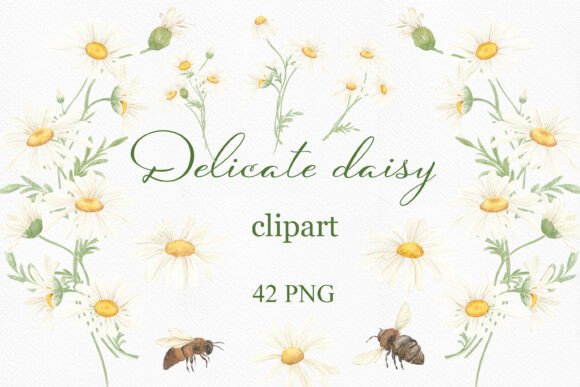 Elevating Digital Design with Watercolor Summer Daisy Clipart and Wreaths