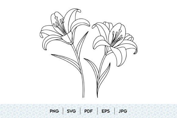 Lily Flower Line Art: A Practical Guide for Designers and Creators