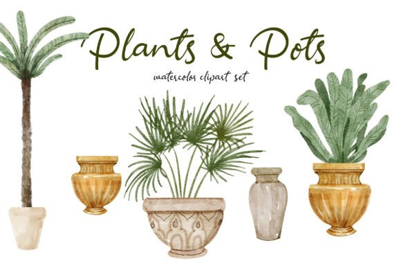 Plant S Pots Watercolor Clipart Set: A Practical Guide for Creative Workflows